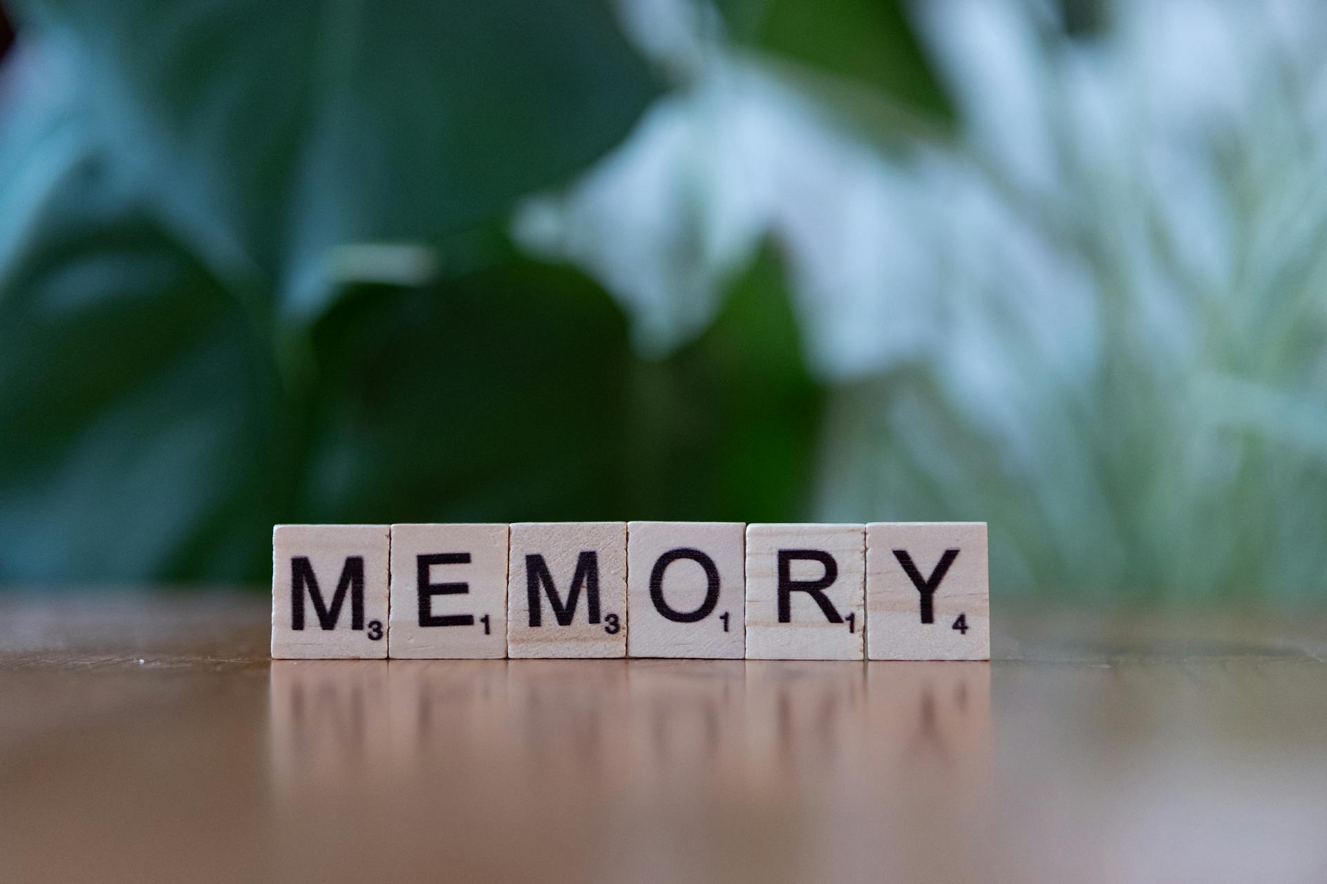 You are currently viewing Can Your Brain Create Fake Memories