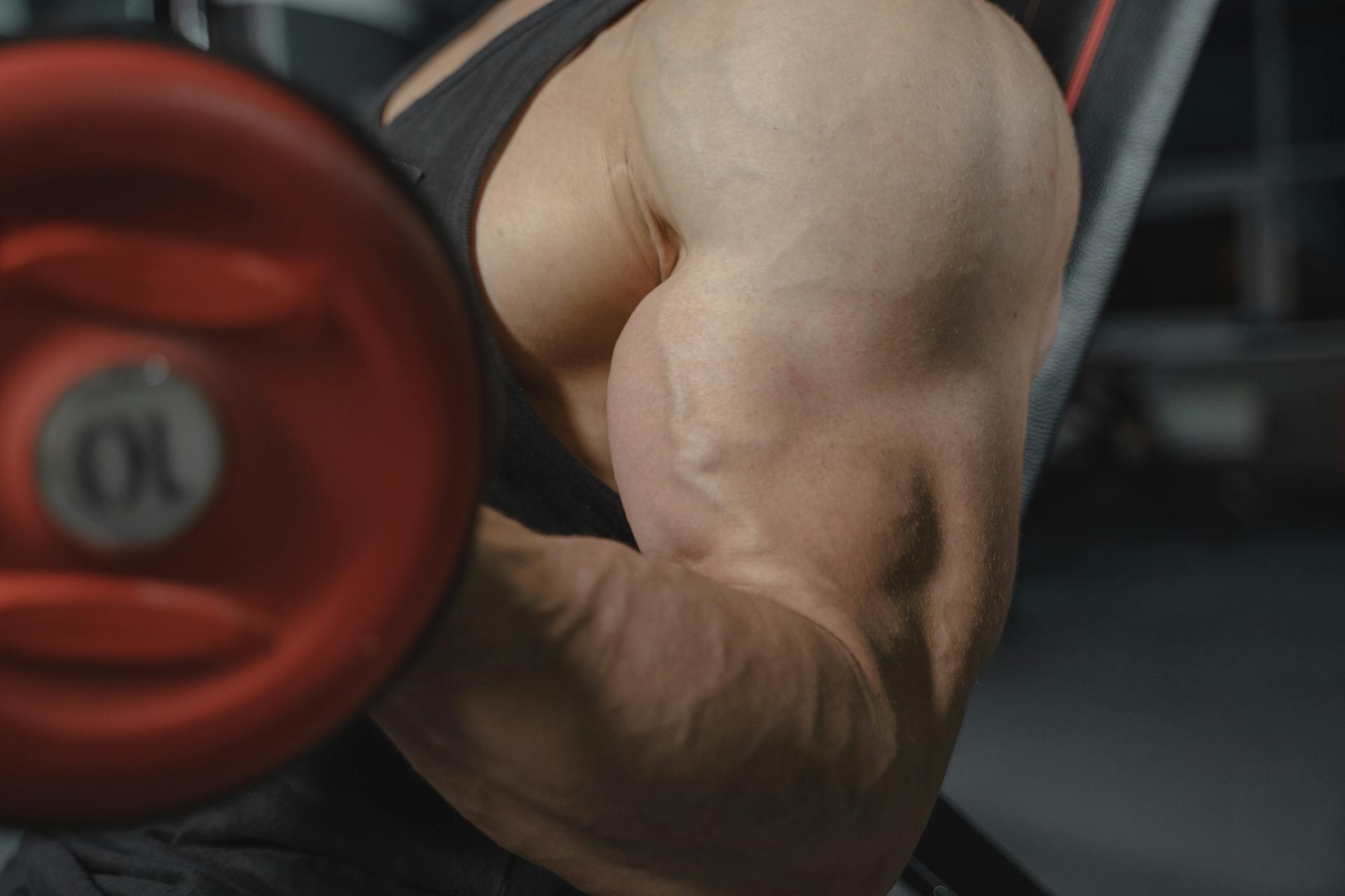 Read more about the article How to Build Muscle Without Spending Hours in the Gym