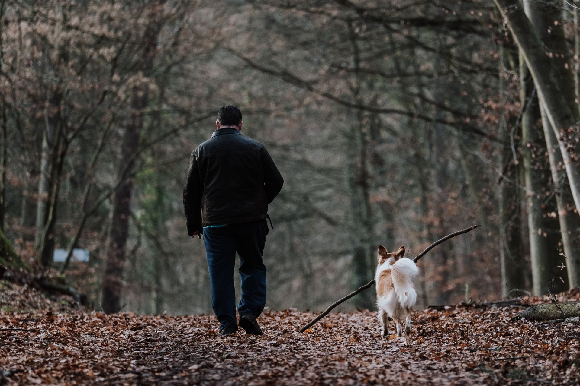 You are currently viewing How Walking 30 Minutes a Day Resets Your Brain